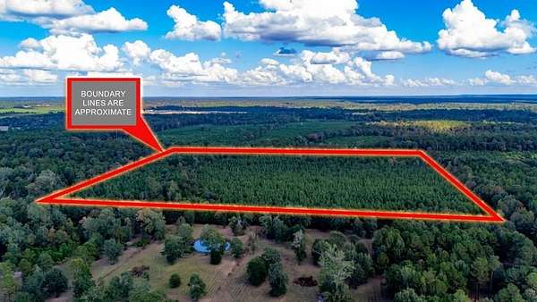 35 Acres of Recreational Land for Sale in Lufkin, Texas