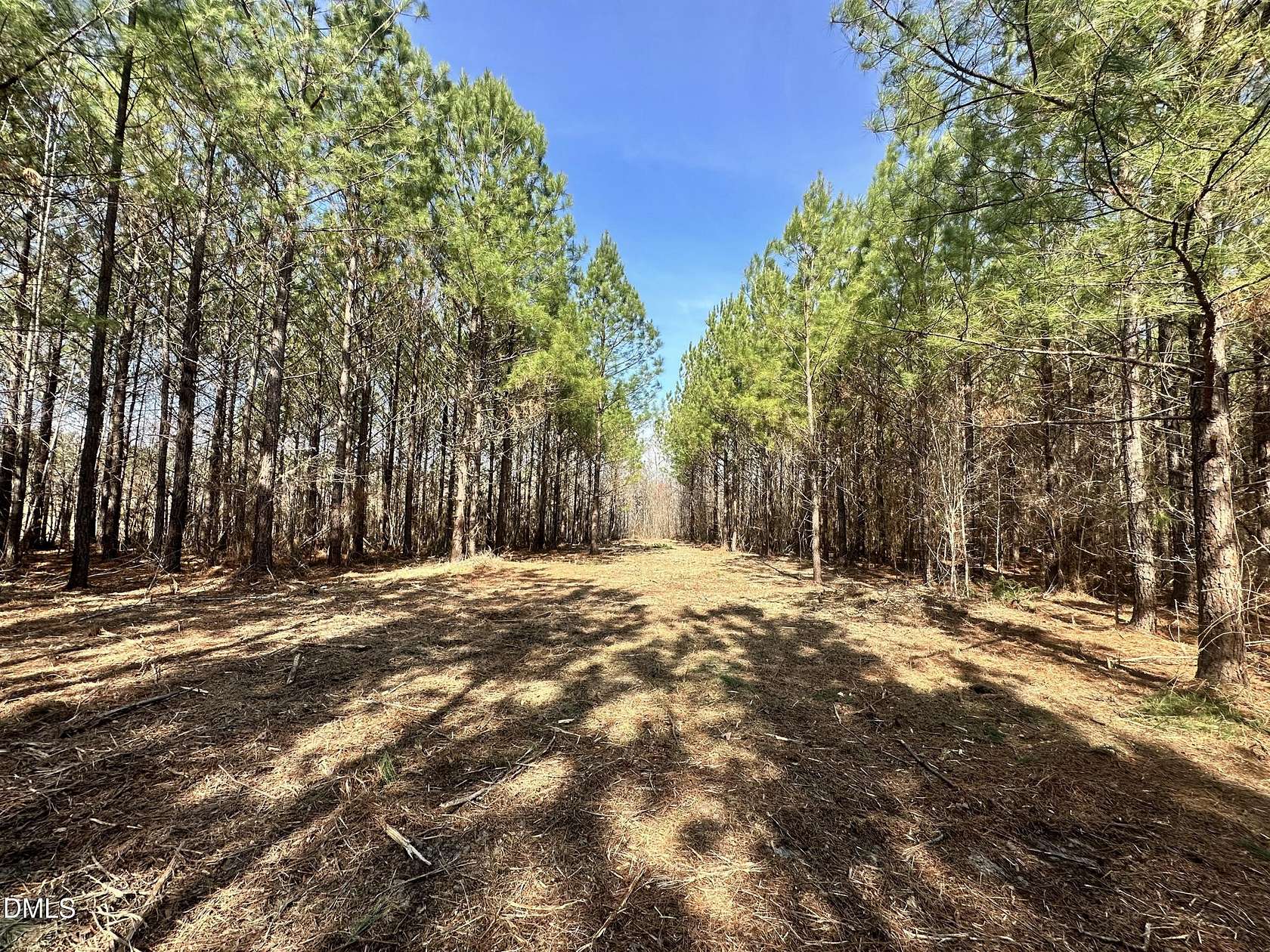 18.2 Acres of Land for Sale in Rougemont, North Carolina