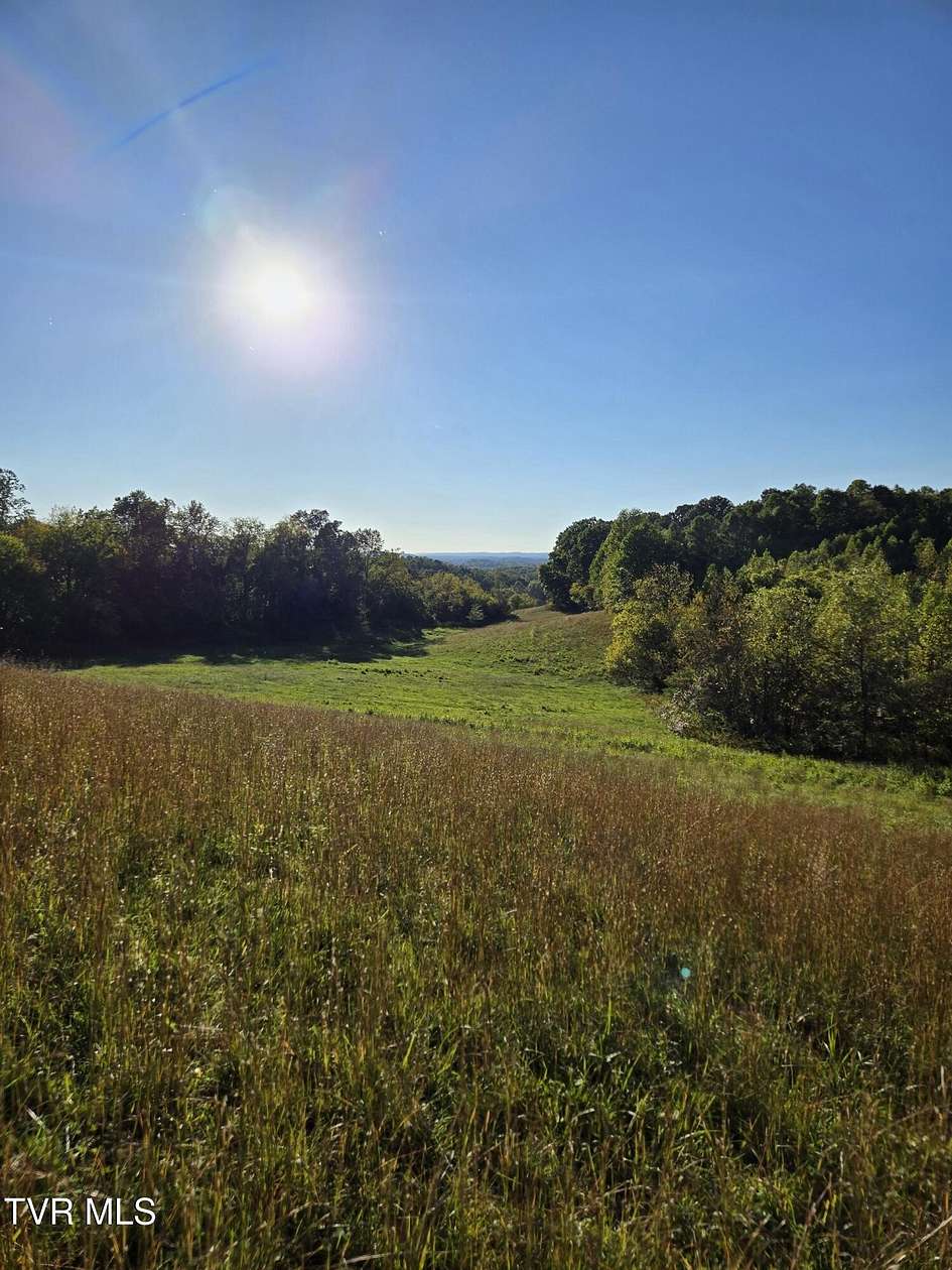 16.6 Acres of Land for Sale in Afton, Tennessee