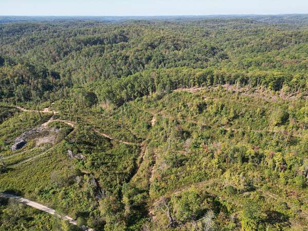 16 Acres of Land for Sale in East Bernstadt, Kentucky