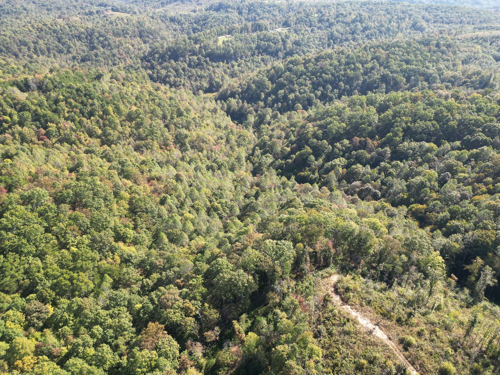 55 Acres of Recreational Land for Sale in East Bernstadt, Kentucky