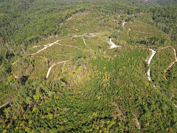 58 Acres of Land for Sale in East Bernstadt, Kentucky