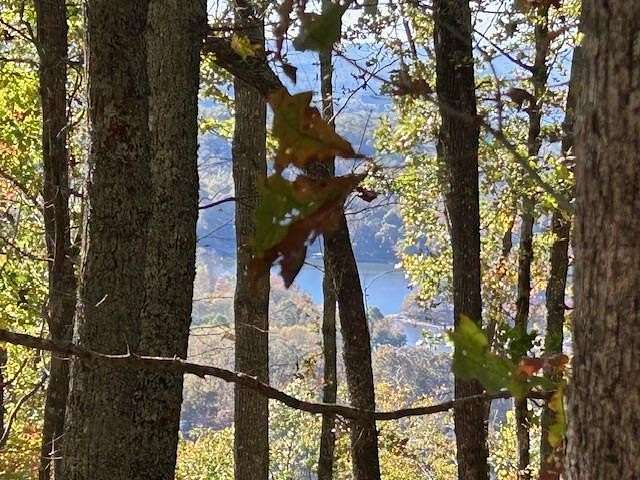 34 Acres of Recreational Land for Sale in Hayesville, North Carolina