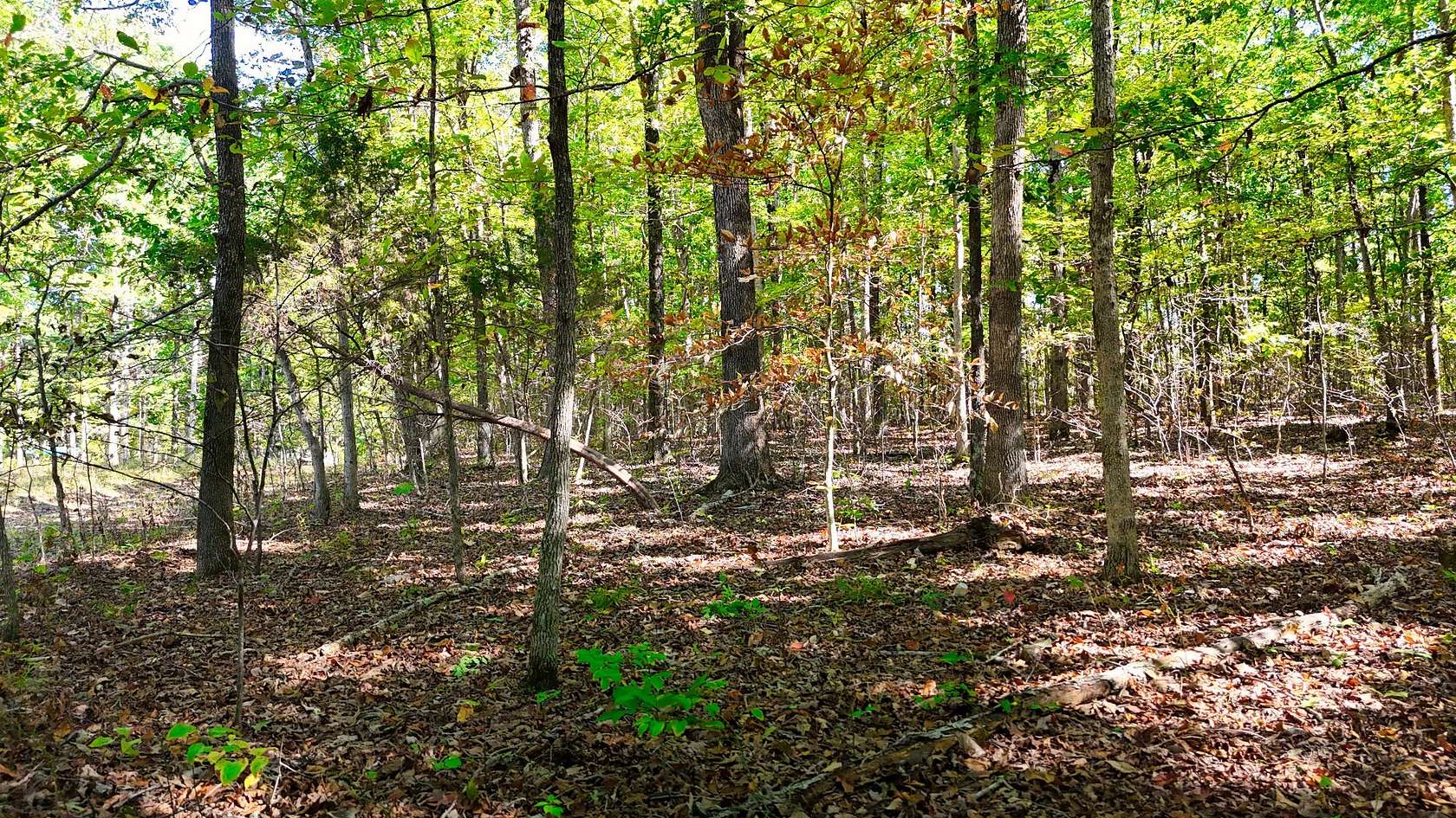 5 Acres of Residential Land for Sale in Bon Aqua, Tennessee