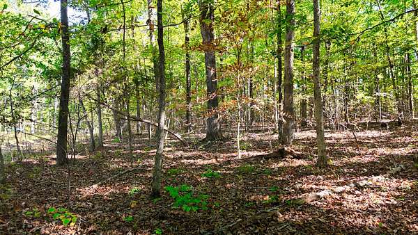 5 Acres of Residential Land for Sale in Bon Aqua, Tennessee