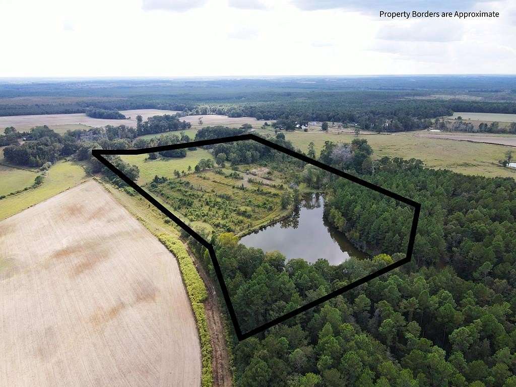 33.4 Acres of Land with Home for Sale in Abbeville, Georgia