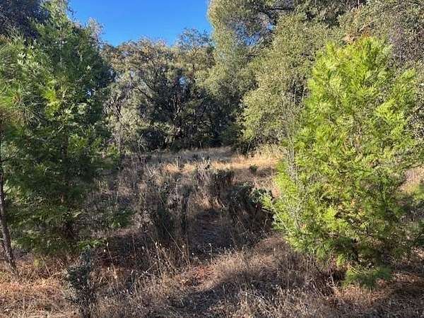 14.3 Acres of Agricultural Land for Sale in Glencoe, California