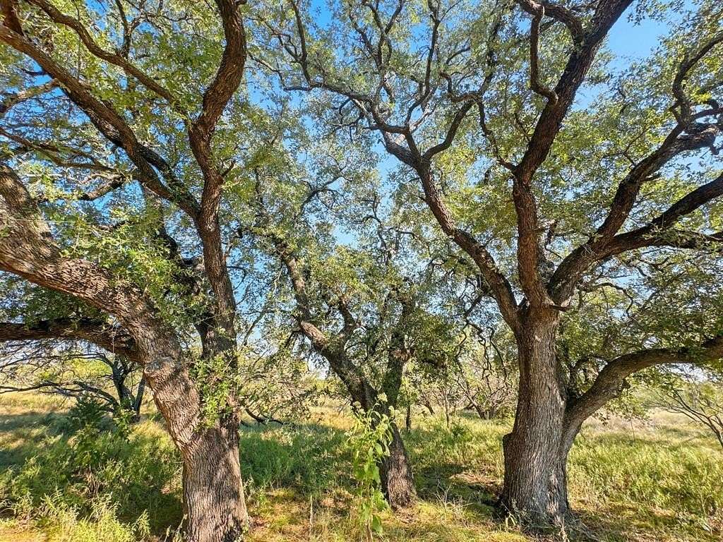 20 Acres of Recreational Land for Sale in Evant, Texas