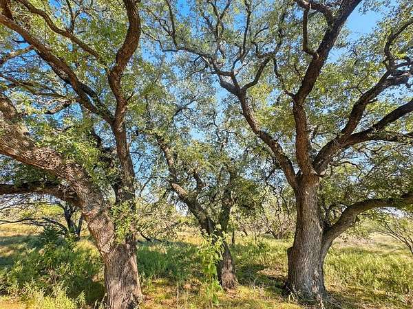 20 Acres of Recreational Land for Sale in Evant, Texas