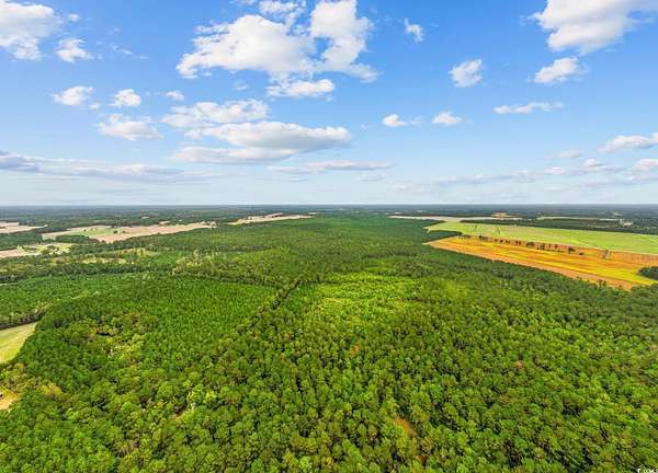 200 Acres of Recreational Land for Sale in Loris, South Carolina
