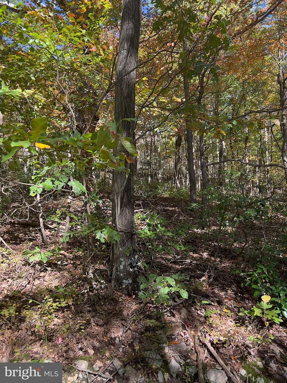 1.43 Acres of Residential Land for Sale in Winchester, Virginia
