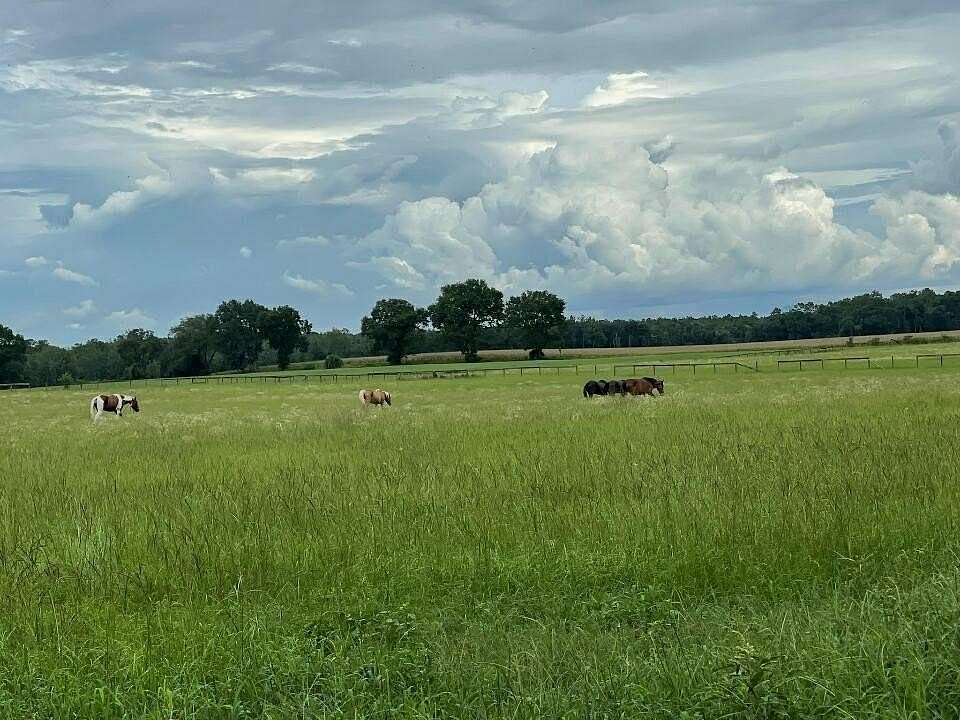 19 Acres of Land for Sale in Old Town, Florida