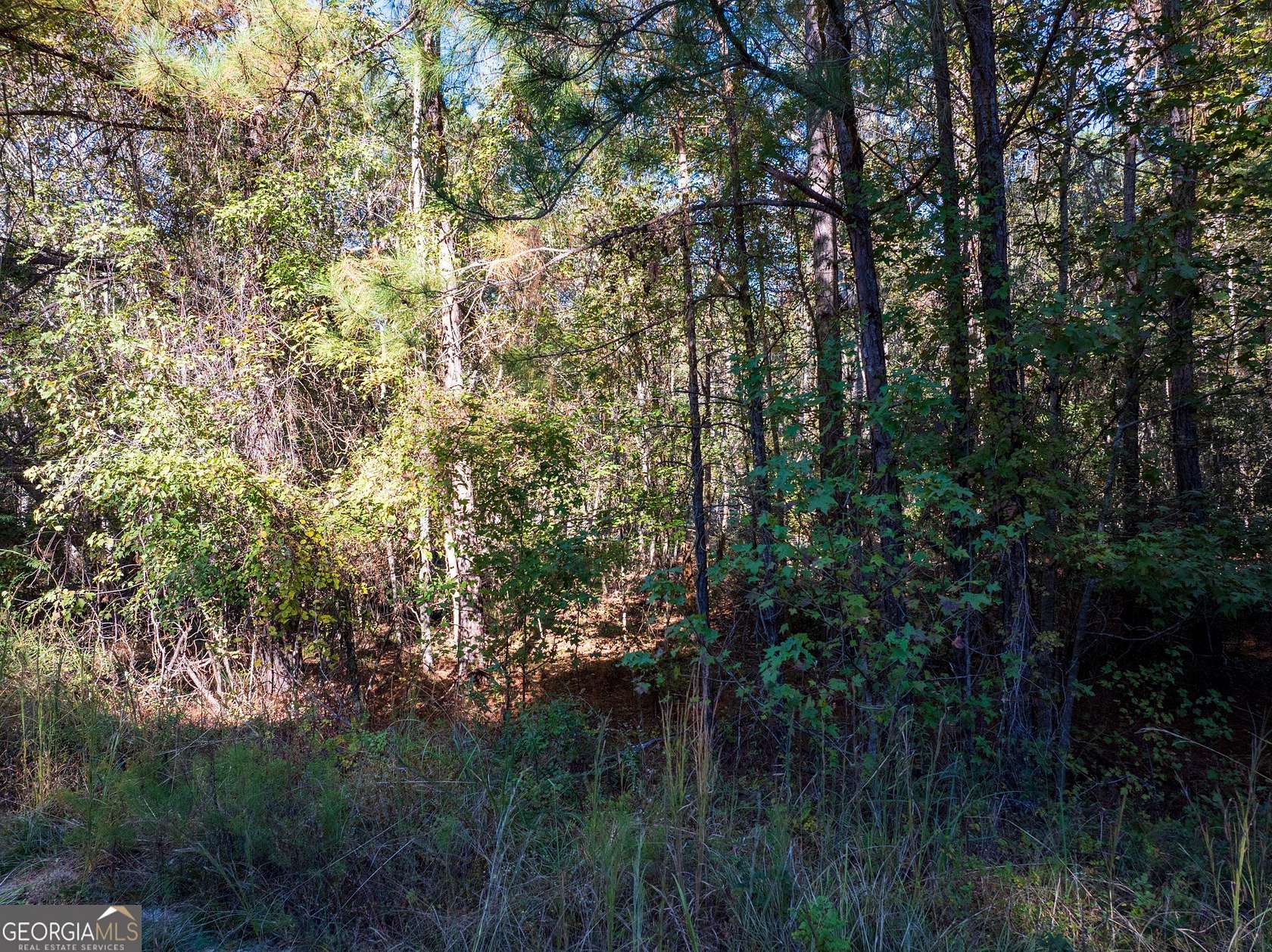 3.86 Acres of Residential Land for Sale in Millen, Georgia