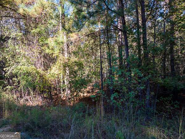 3.86 Acres of Residential Land for Sale in Millen, Georgia