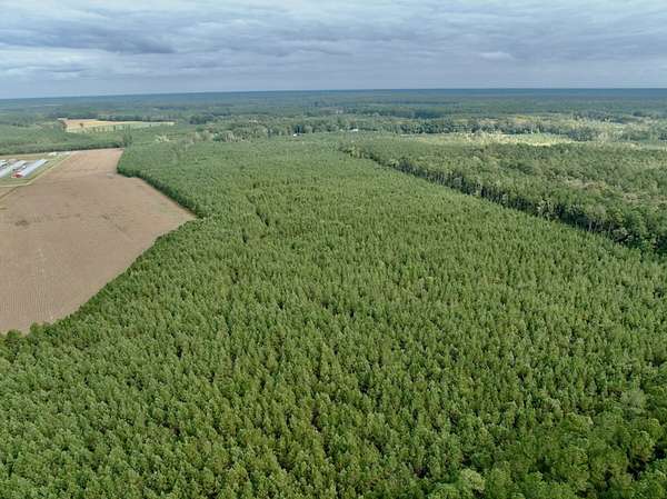 54.4 Acres of Land for Sale in Gates, North Carolina