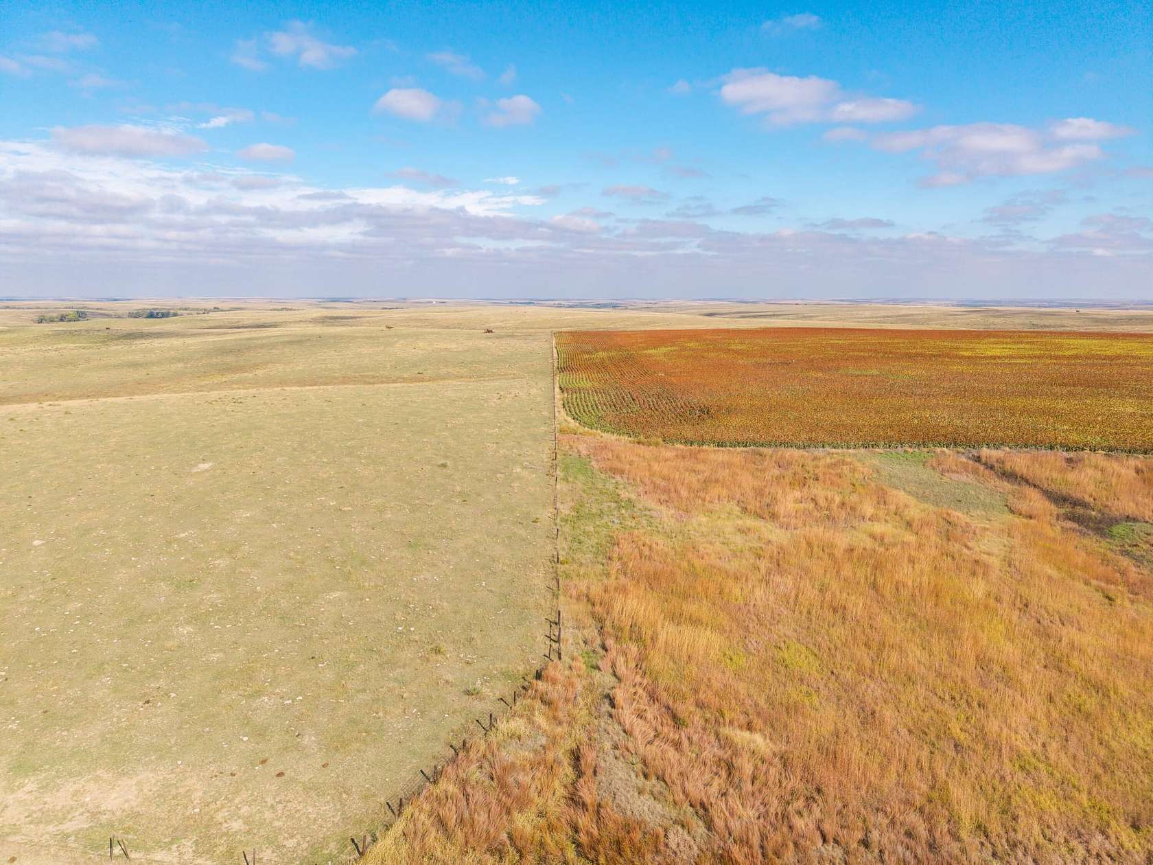 145 Acres of Recreational Land & Farm for Sale in Morland, Kansas