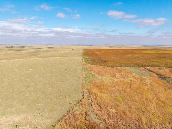 145 Acres of Recreational Land & Farm for Sale in Morland, Kansas