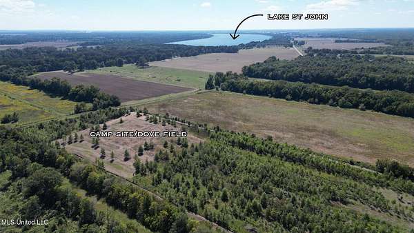 80 Acres of Recreational Land & Farm for Sale in Waterproof, Louisiana