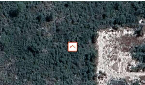 0.45 Acres of Residential Land for Sale in Sebring, Florida