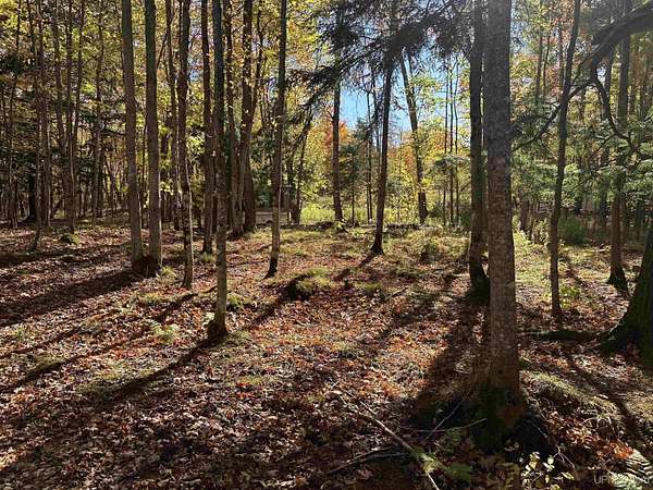 1 Acre of Residential Land for Sale in Marquette, Michigan