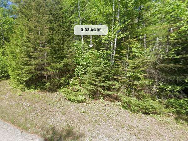 0.32 Acres of Residential Land for Sale in Presque Isle, Michigan