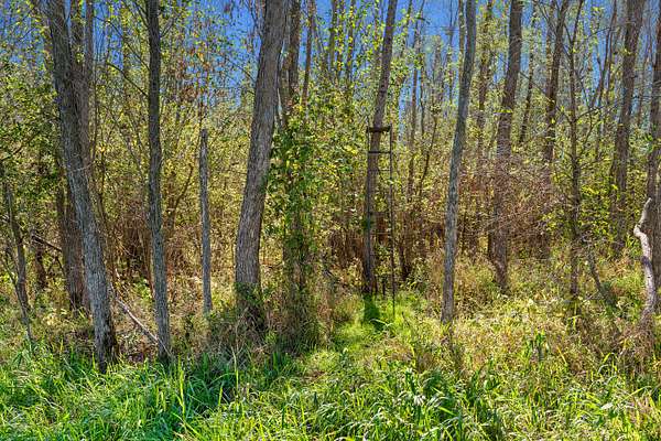 117 Acres of Land for Sale in Fountain City, Wisconsin