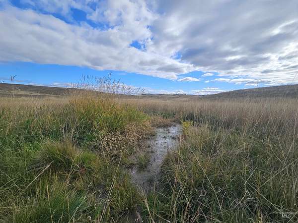 20 Acres of Recreational Land for Sale in Lenore, Idaho