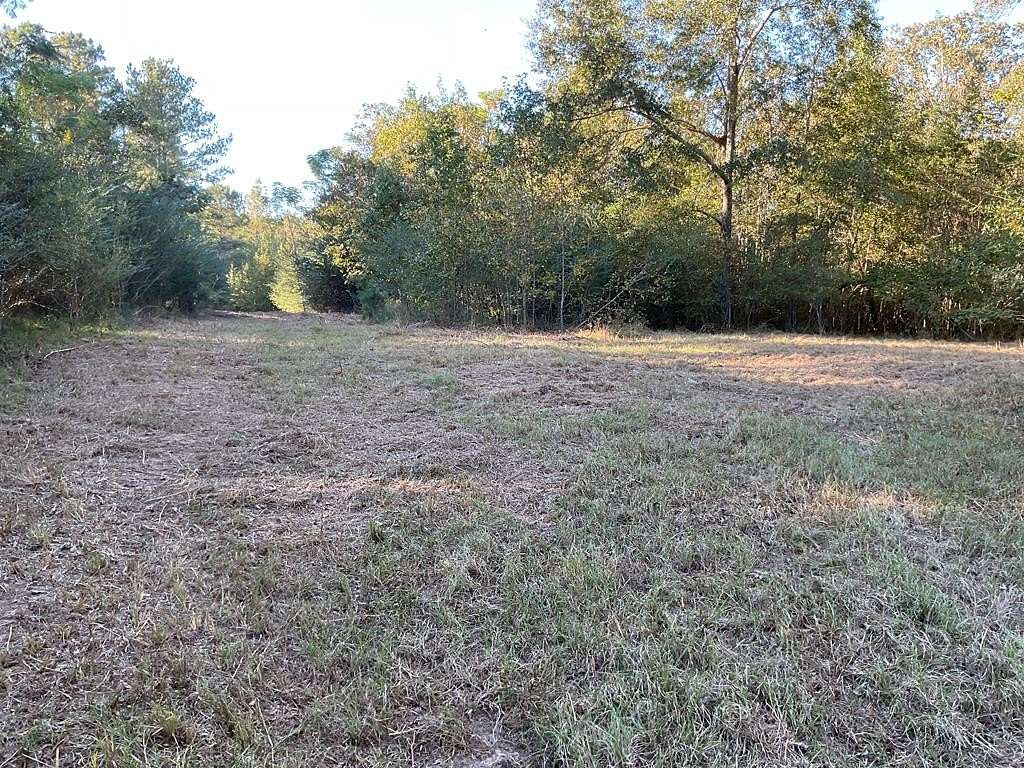 58 Acres of Land for Sale in Rutledge, Alabama