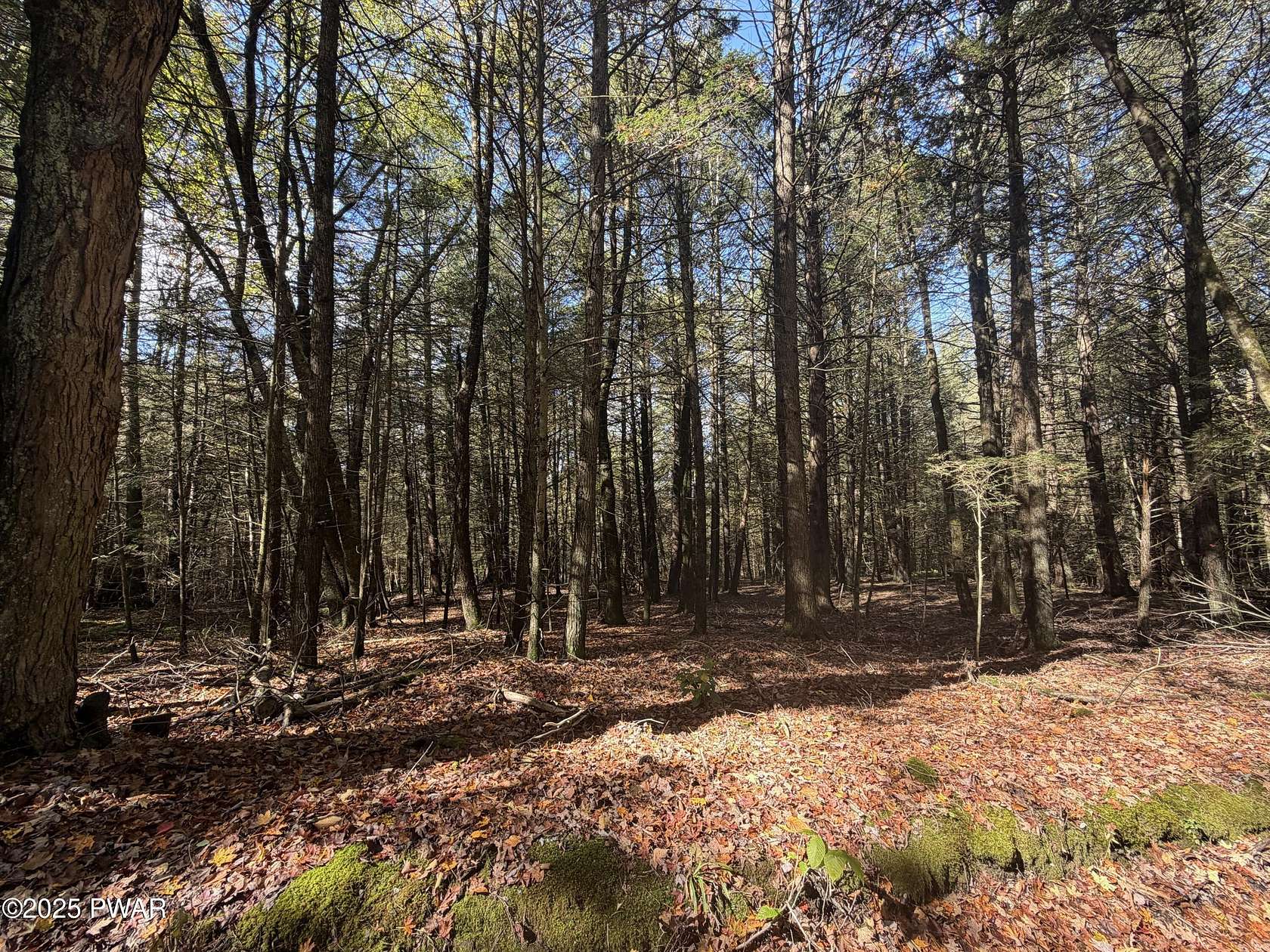 11.8 Acres of Recreational Land for Sale in Lenoxville, Pennsylvania