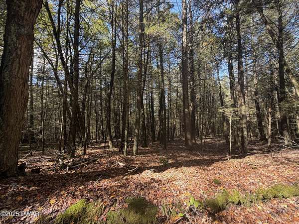11.8 Acres of Recreational Land for Sale in Lenoxville, Pennsylvania