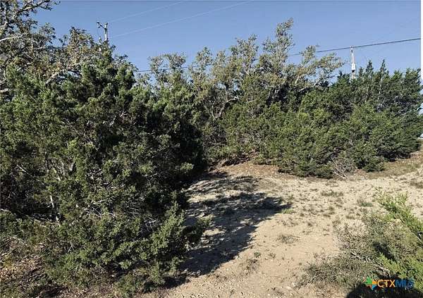 0.5 Acres of Residential Land for Sale in Canyon Lake, Texas