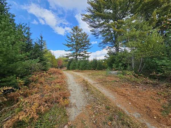275 Acres of Land for Sale in Franklin, Maine