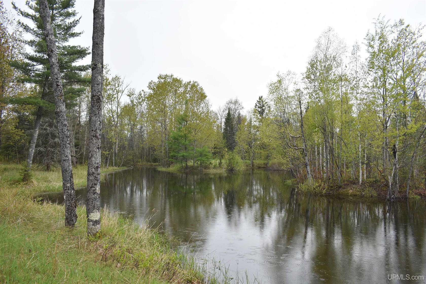 120 Acres of Recreational & Residential Land for Sale in Perronville, Michigan