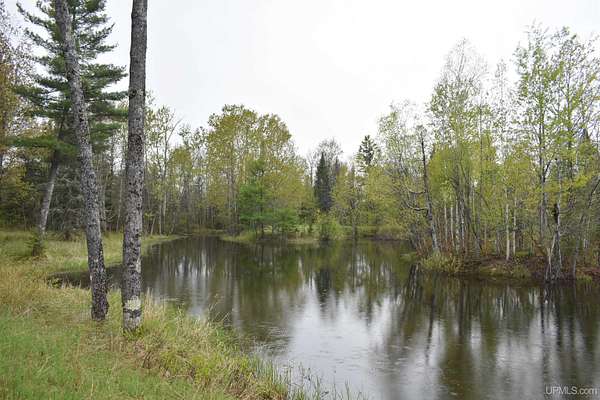 120 Acres of Recreational & Residential Land for Sale in Perronville, Michigan