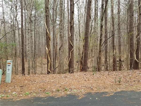 2.42 Acres of Residential Land for Sale in Stockbridge, Georgia