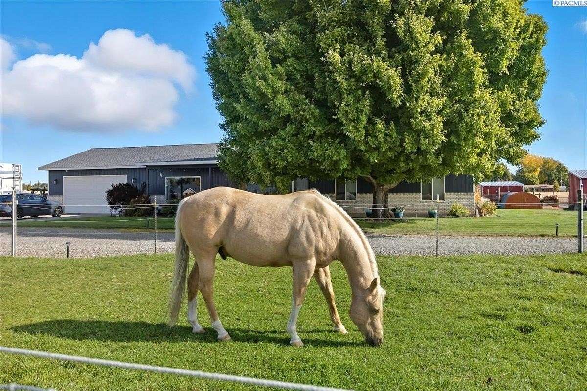 1.5 Acres of Residential Land with Home for Sale in Pasco, Washington