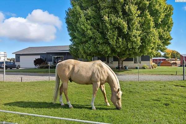 1.5 Acres of Residential Land with Home for Sale in Pasco, Washington