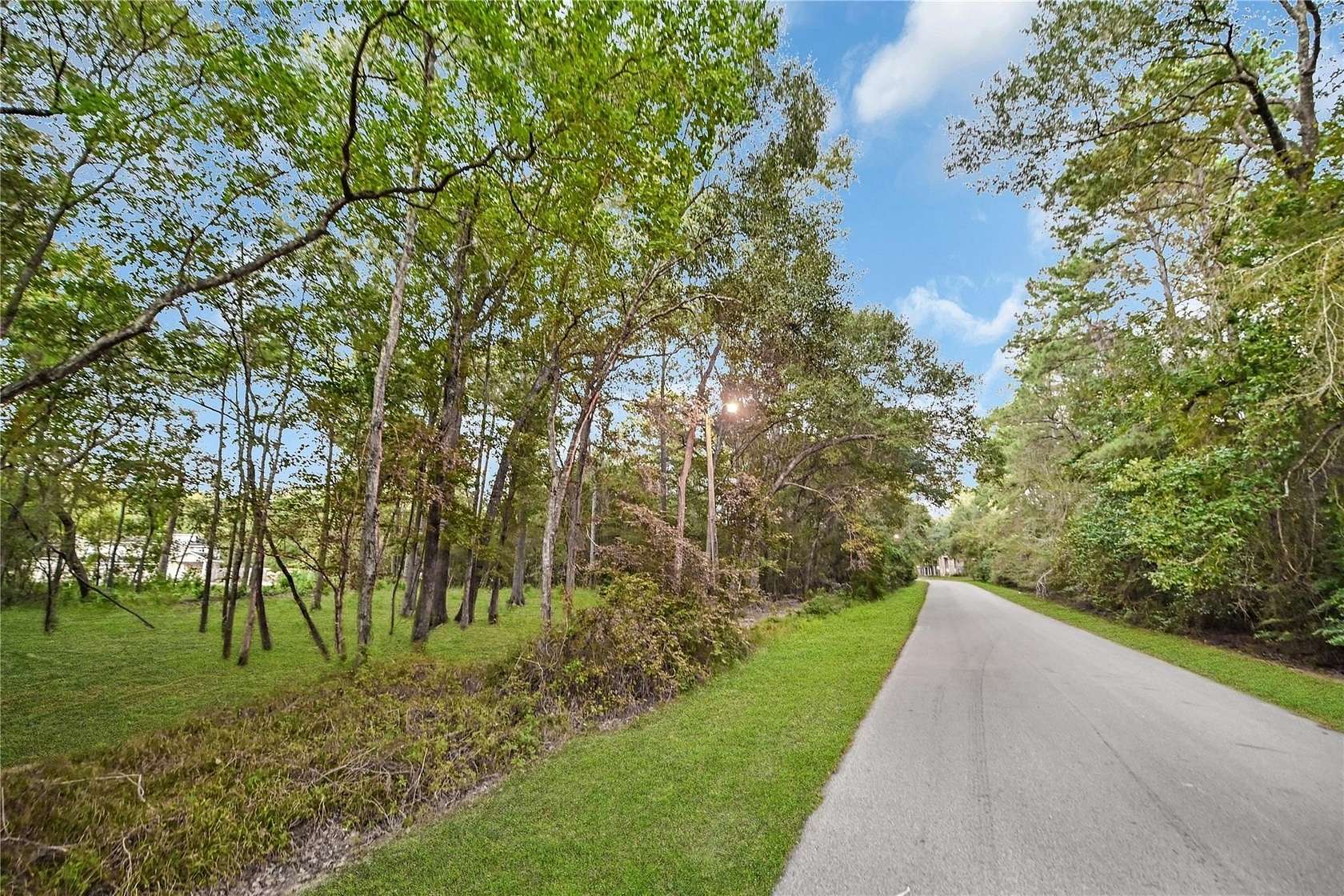 0.37 Acres of Residential Land for Sale in Roman Forest, Texas