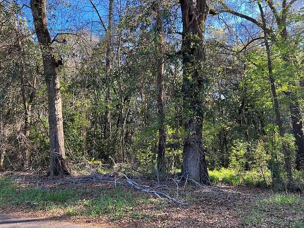 0.47 Acres of Residential Land for Sale in Dothan, Alabama