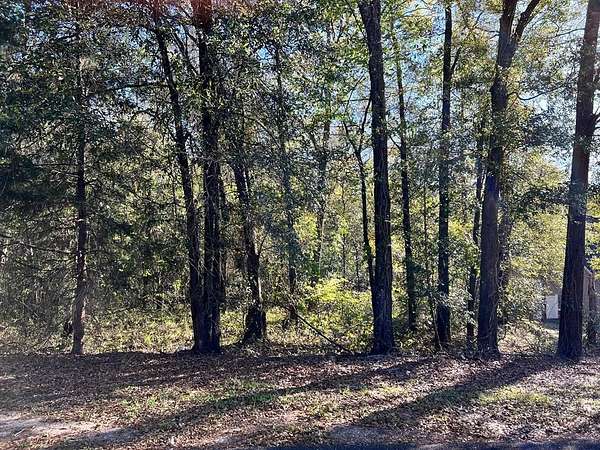 0.57 Acres of Residential Land for Sale in Dothan, Alabama