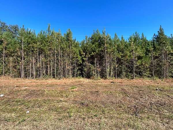 7.55 Acres of Land for Sale in Cottonwood, Alabama