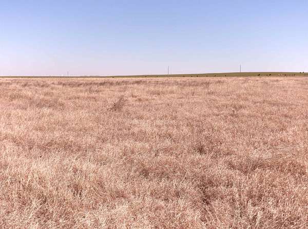 40 Acres of Agricultural Land for Sale in Fargo, Oklahoma