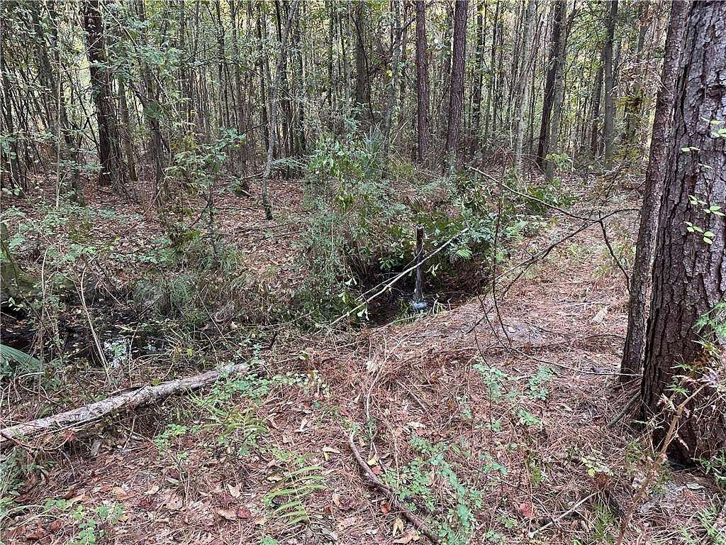 25 Acres of Land for Sale in Ponchatoula, Louisiana