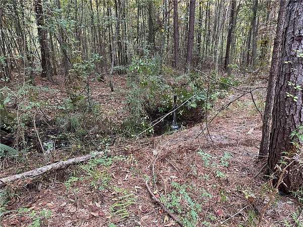 25 Acres of Land for Sale in Ponchatoula, Louisiana