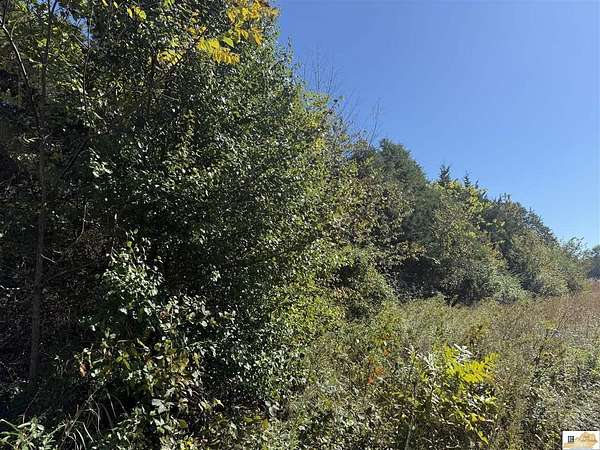 1 Acre of Residential Land for Sale in Munfordville, Kentucky