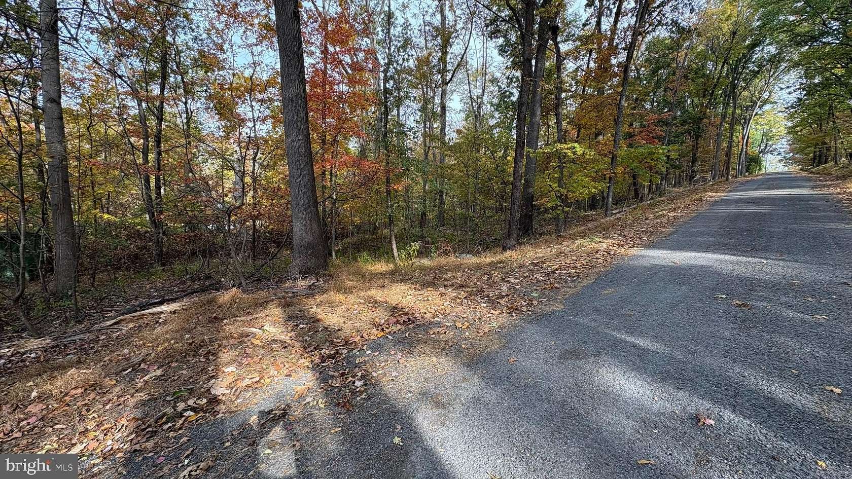 0.35 Acres of Residential Land for Sale in Winchester, Virginia
