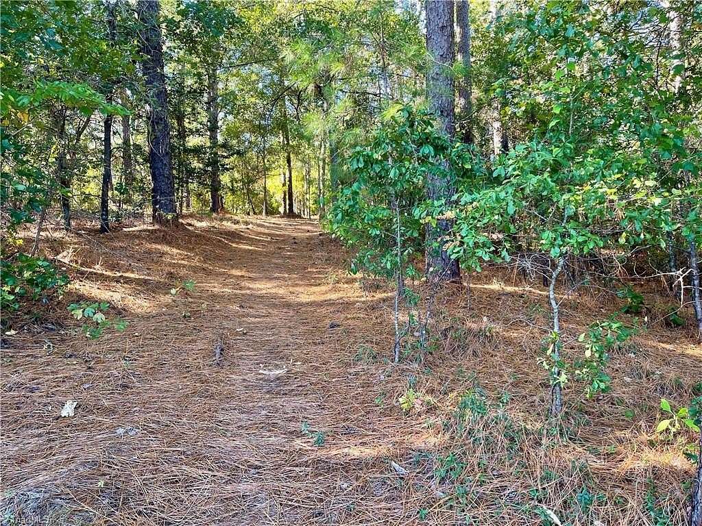 2 Acres of Residential Land for Sale in Hamlet, North Carolina