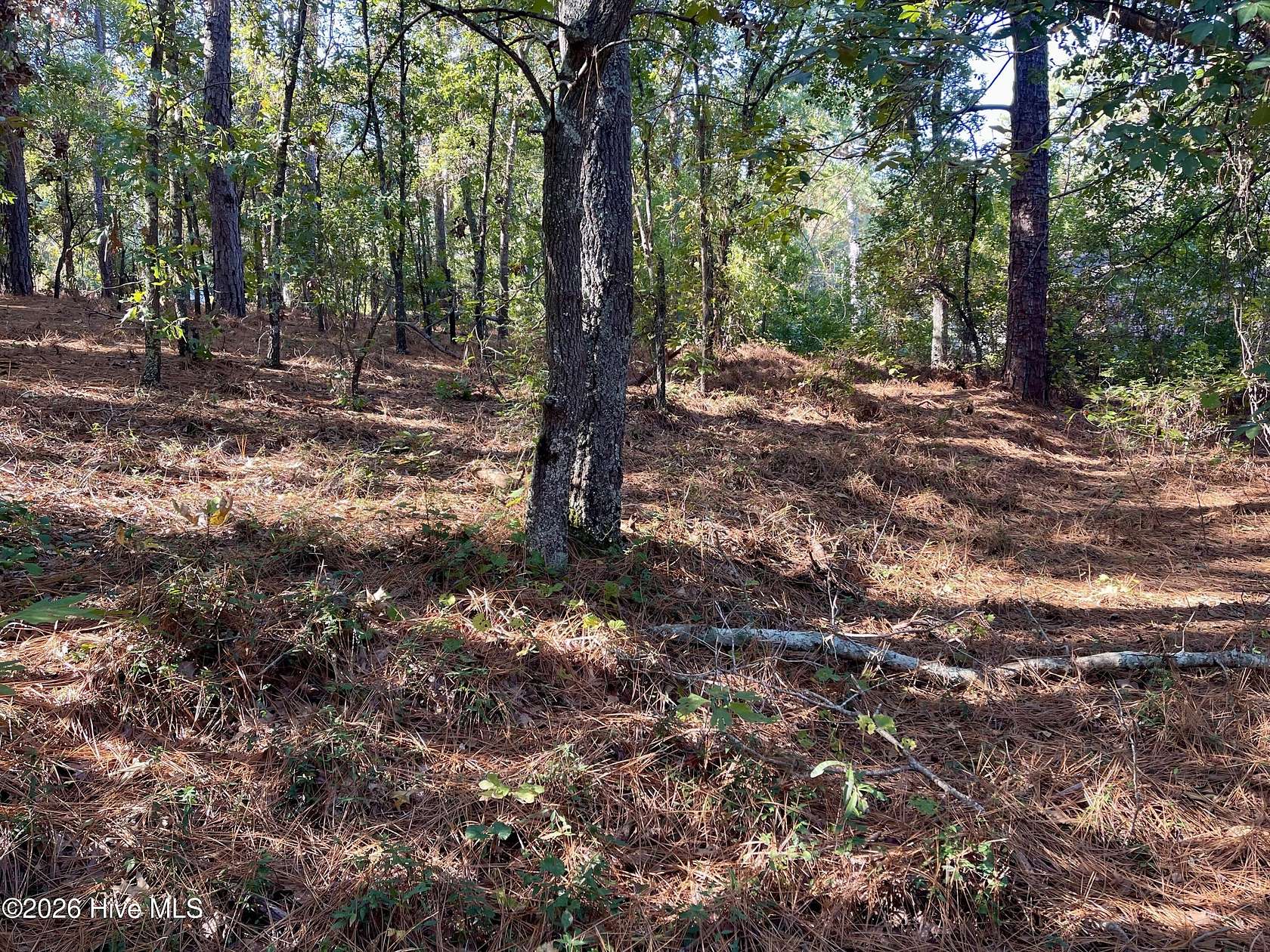2 Acres of Residential Land for Sale in Hamlet, North Carolina