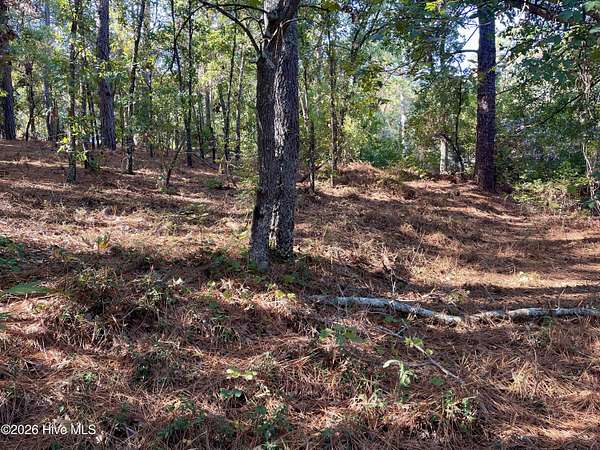 2 Acres of Residential Land for Sale in Hamlet, North Carolina