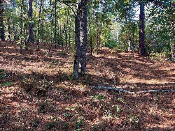 2 Acres of Residential Land for Sale in Hamlet, North Carolina